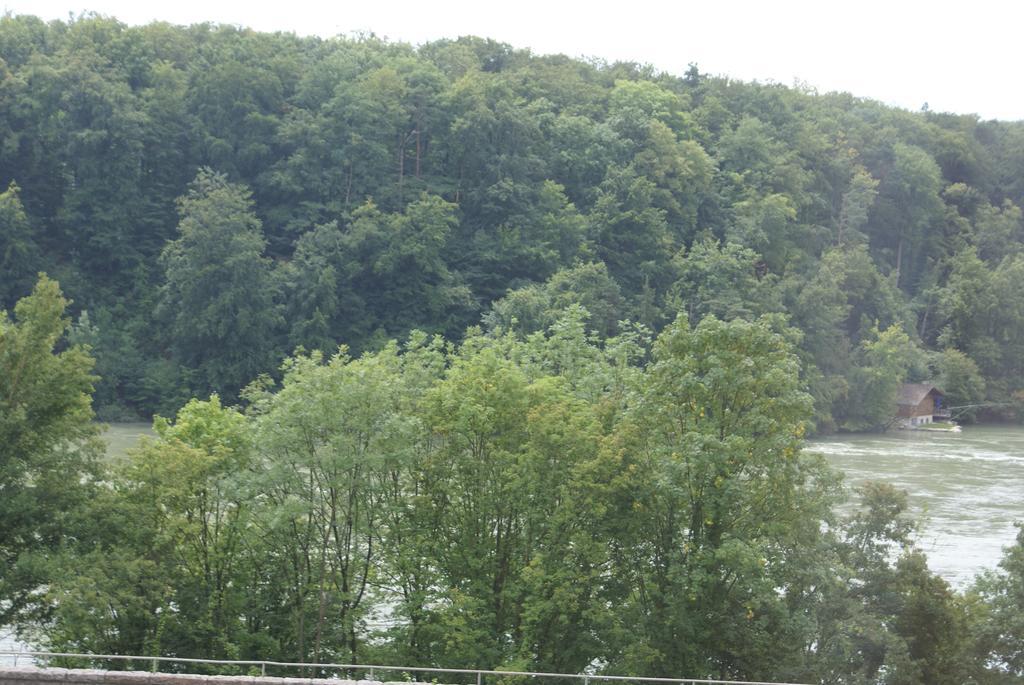 Hotel Storchen Rheinfelden  Εξωτερικό φωτογραφία